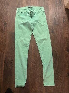 Flying Monkey Mint Skinny Jeans